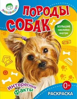 Породам книги
