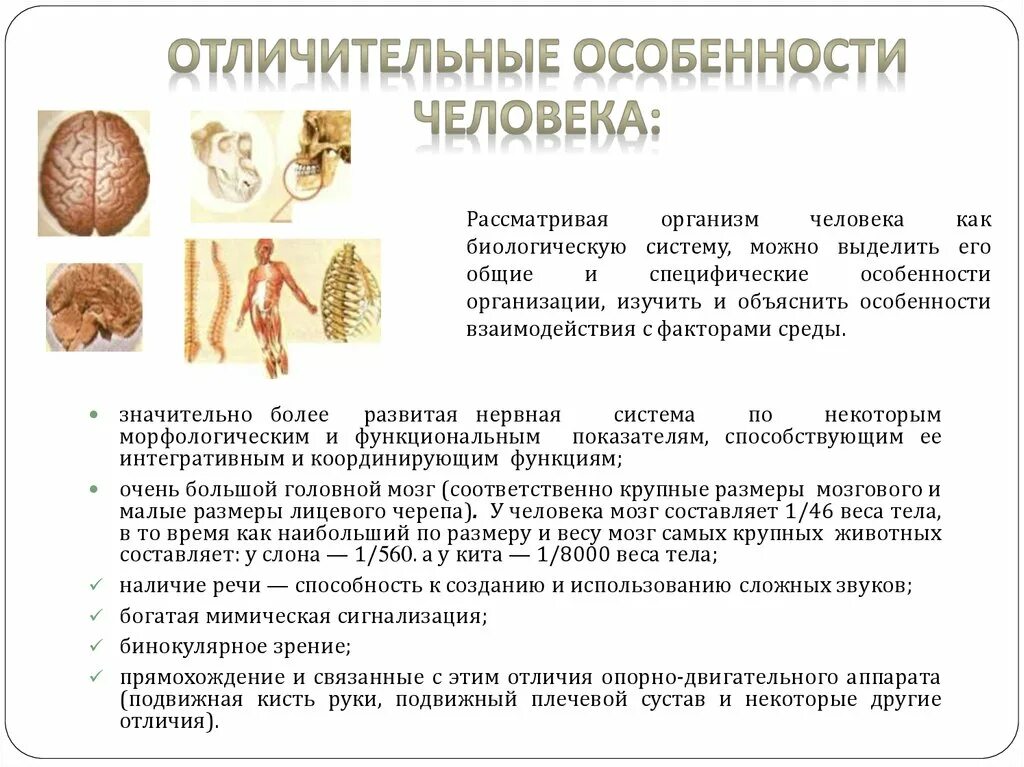 Тема урока особенности человека. Биологические особенности человека. видовые особенности человека. особенности организма человека. биологические характеристики человека.