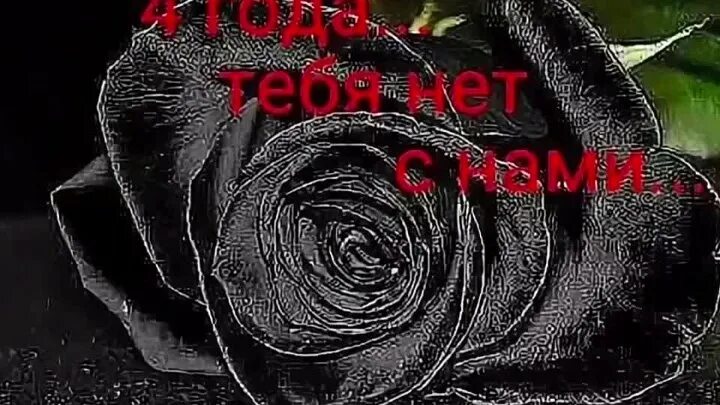 Сегодня год как тебя нет с нами стихи. 2 года как тебя нет. Уже год тебя нет с нами. Полгода тебя нет с нами. Четыре года как нет тебя с нами.