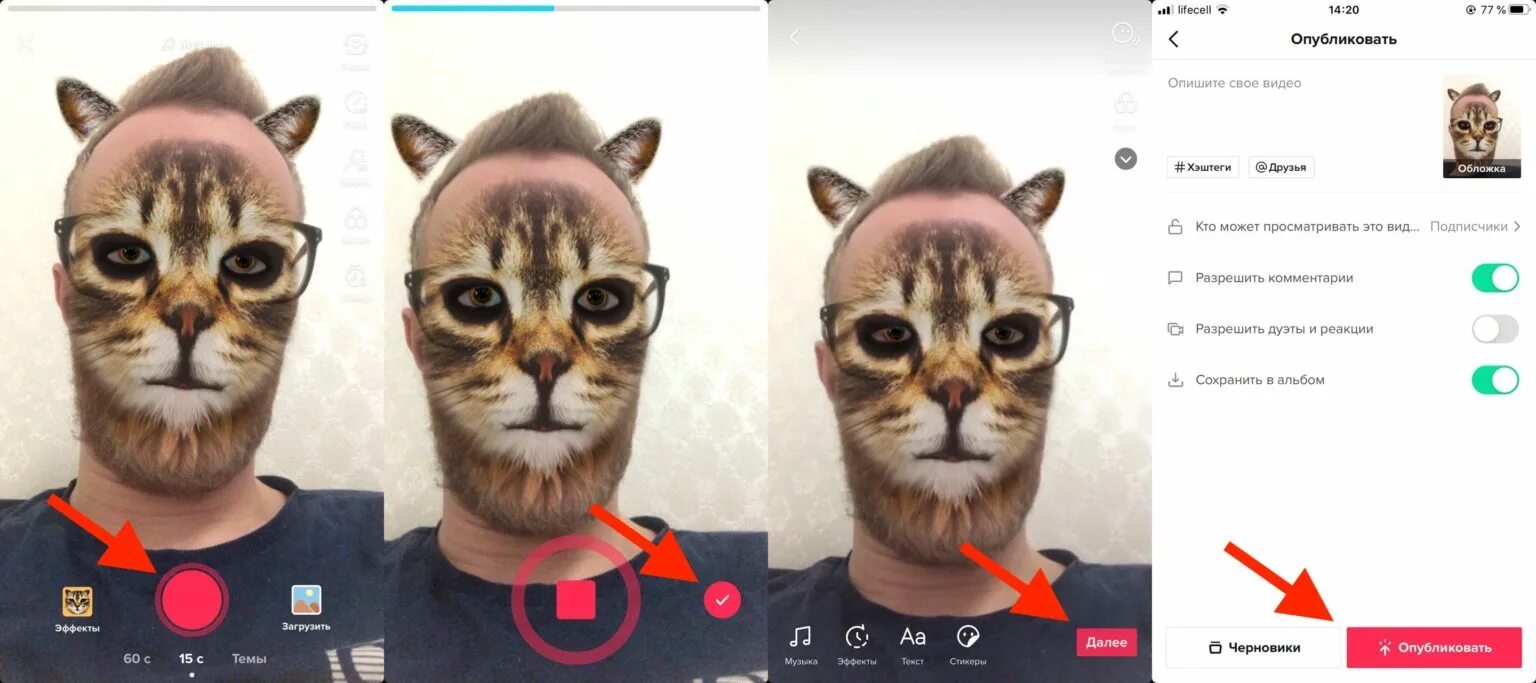 Где программа маска. Маска тик ток. морда кота вместо лица. приложение маска кота. маска кота в тик ток.