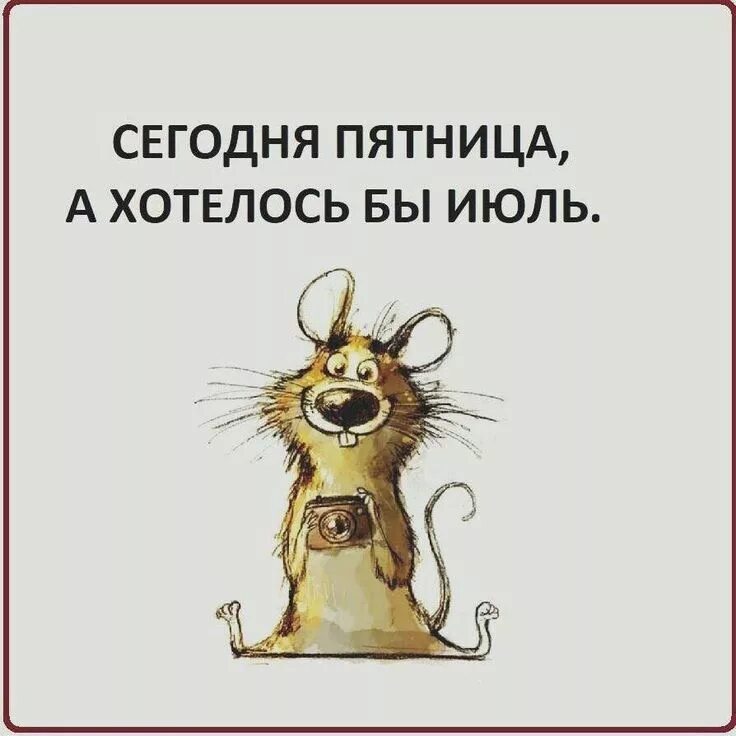 Pin by Zhanat on Доброе утро Words, Good morning, Quotes