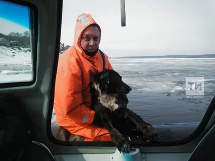 Поехали спасать