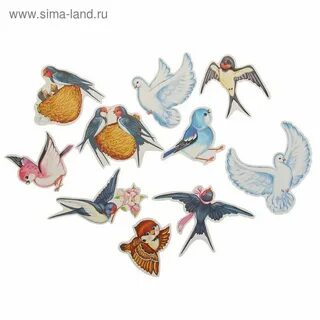 10 птичек