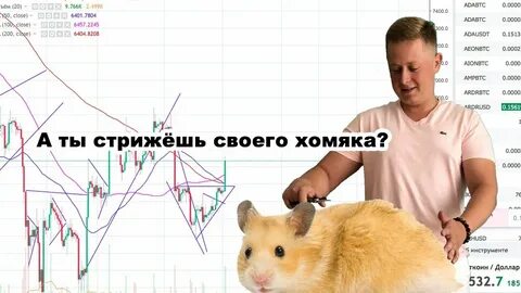 Когда в хомяке будет листинг точная дата