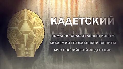 Академия защиты