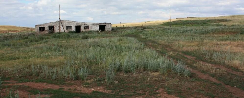 Погода оренбургском районе поселок. Село Архангеловка Оренбургского района Оренбургской области. Село Петровка Оренбургской области Александровский район. Поселок Ореховка Ясненский район Оренбургская область. Село Архангеловка Александровский район Оренбургская область.