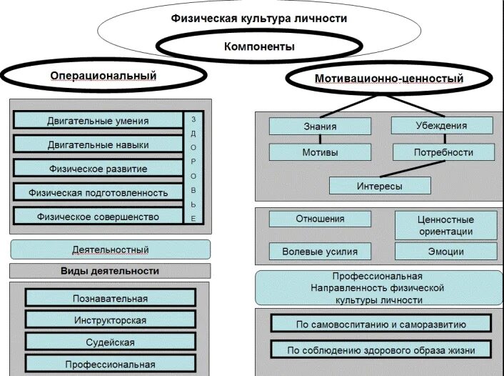 Физическая культура схема. Структура физической культуры личности. Структура теории физической культуры. Физическое воспитание схема.