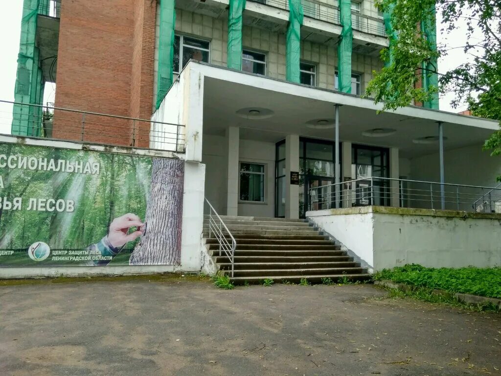 российский центр защиты леса. центр защиты леса ульяновск. центр охраны лесов. цзл республики коми. центр защиты леса тюменской области.