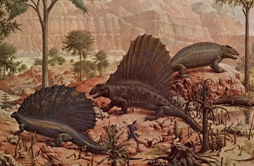 Пермский период палеозойской эры. Динозавры палеозойской эры. Пресмыкающиеся Палеозойская Эра. Палеозой, Палеозойская Эра.