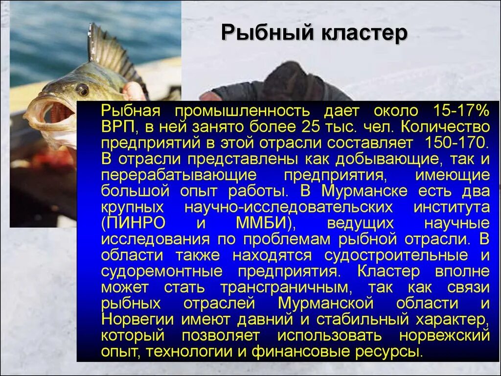 Рыбная промышленность является отраслью специализации. Рыбная промышленность сообщение. Рыбная промышленность России. Ресурсы рыбной промышленности. Рыбный кластер.