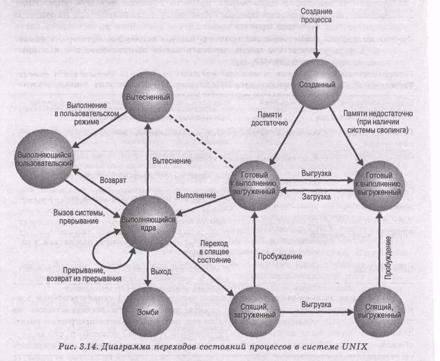 Состояние процесса в операционной системе. Диаграмма состояний процесса Unix. Диаграмма состояний процесса ОС. Состояния процессов в Unix.