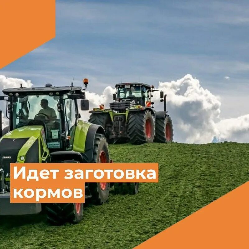 Тюменский агропромышленный комплекс. Агропромышленный комплекс тюменской области. Департамент агропромышленного комплекса тюмень. Департамент апк тюменской области логотип. Департамент агропромышленного комплекса тю.