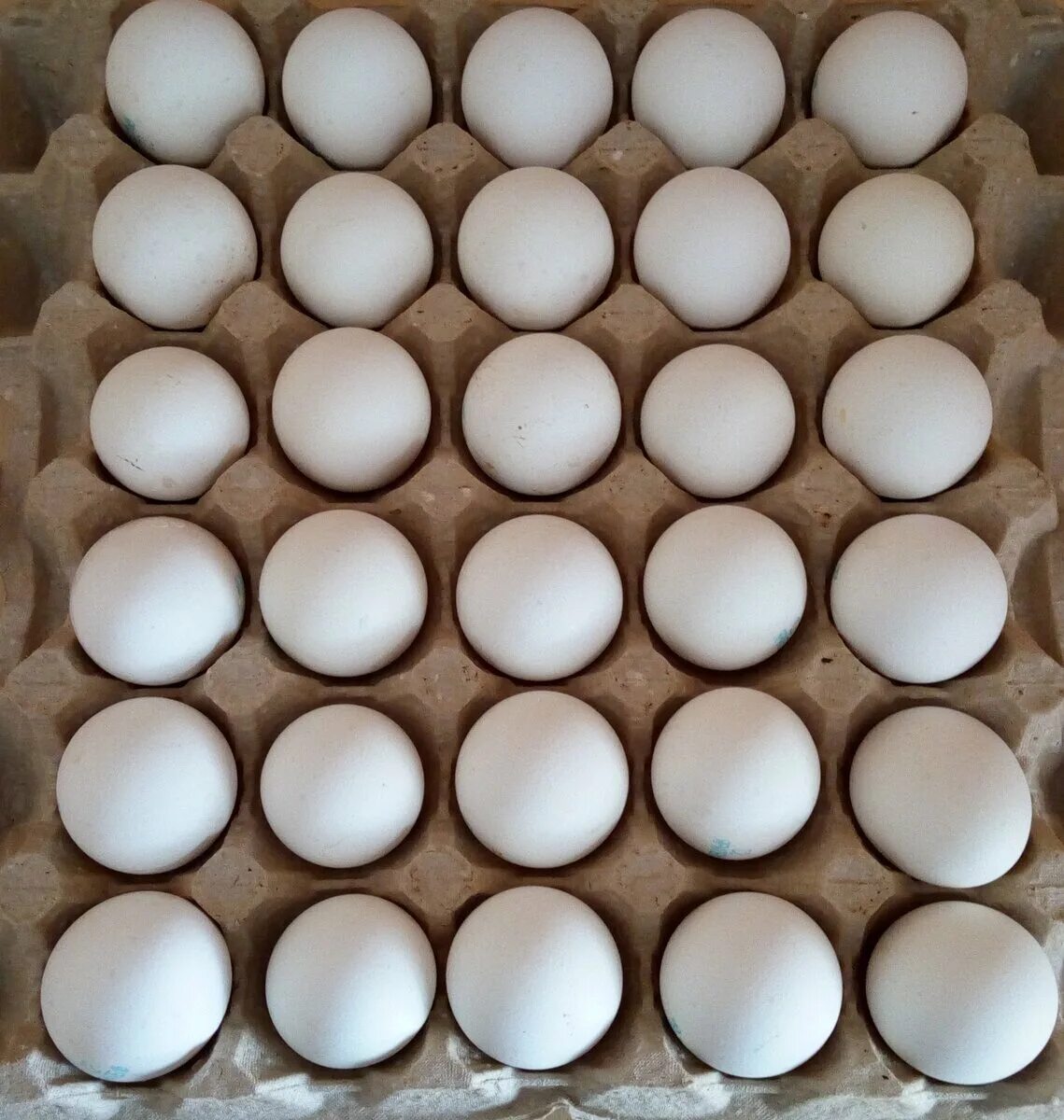 Яйцо куриное 10 шт. Некондиция квадратные куриные яйца. Куриное яйцо 90 грамм. Фото яиц по 120 руб. Яйцо куриное с Азербайджана фото приколы.