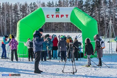 Сфр томск