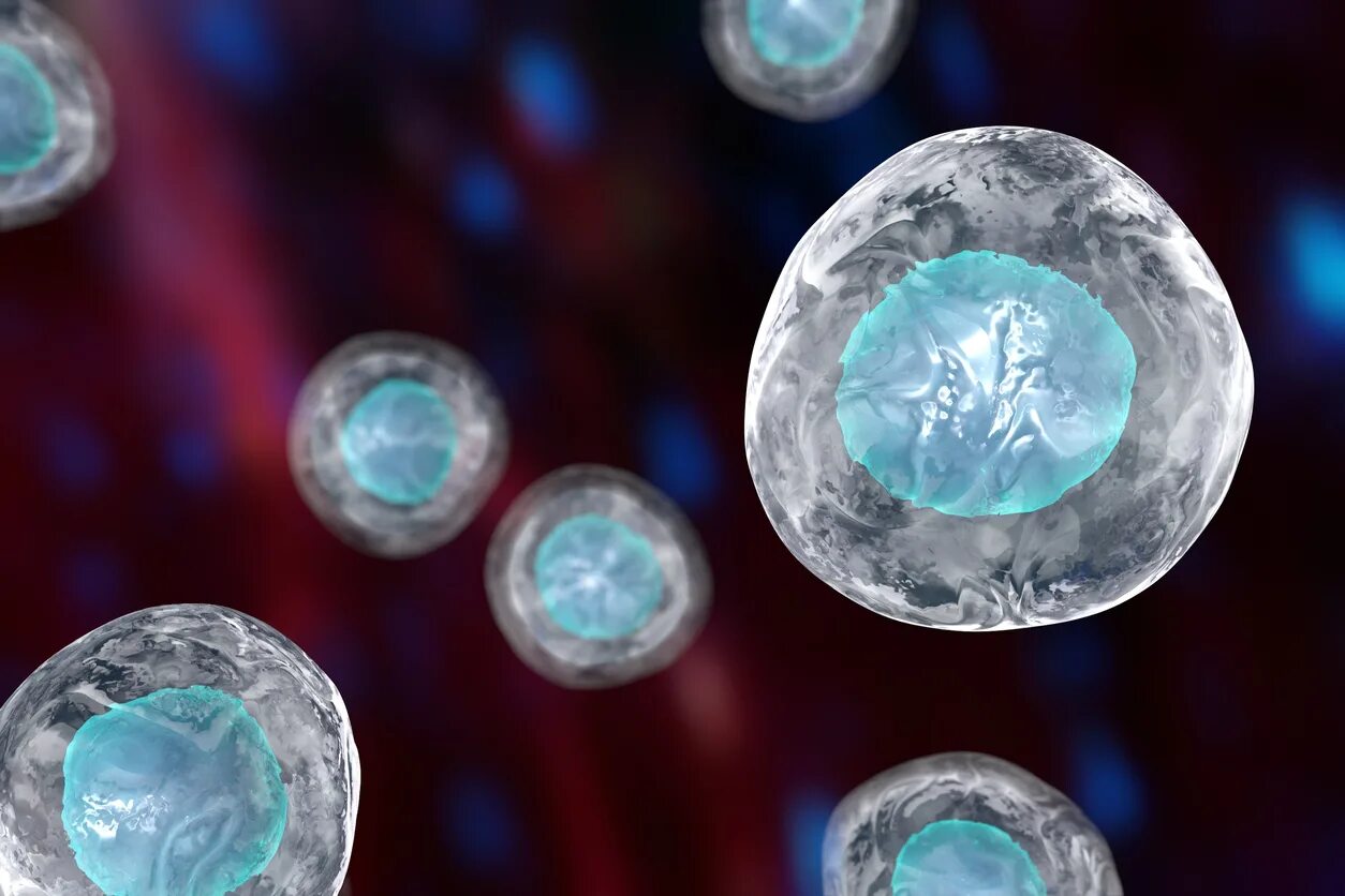 1 стволовые клетки. Стволовая клетка. Stem Cells. Стволовые клетки фото. Кроветворные стволовые клетки 3d.