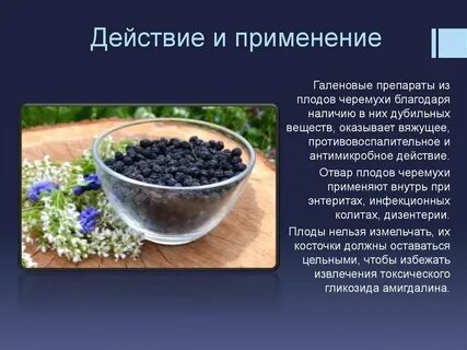 Почему обычная полезная