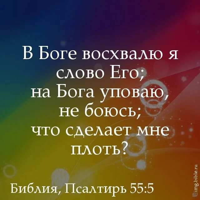 Восхваляя своего спасителя продолжение фразы