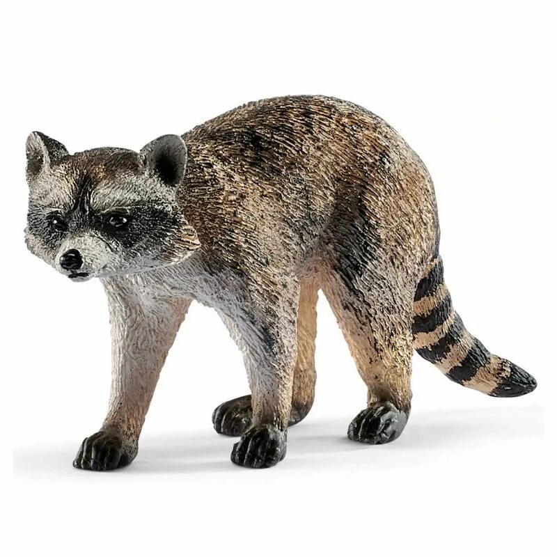 Animal купить в москве. Schleich 14828 енот. Енот шляйх. Шляйх Дикие звери. Фигурки диких животных шляйх.