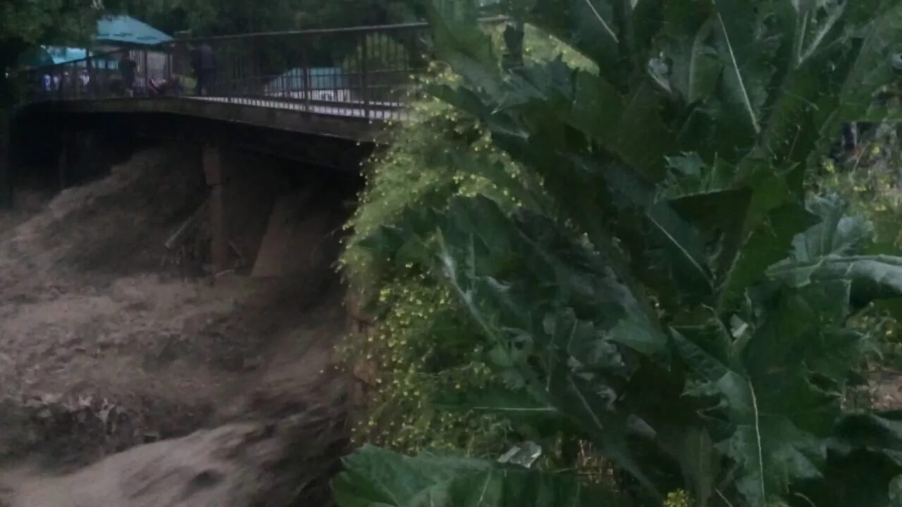 Погода в нижнем дженгутае. Происшествия в селе Апши. Авария в Дженгутае. Нижний Дженгутай село.