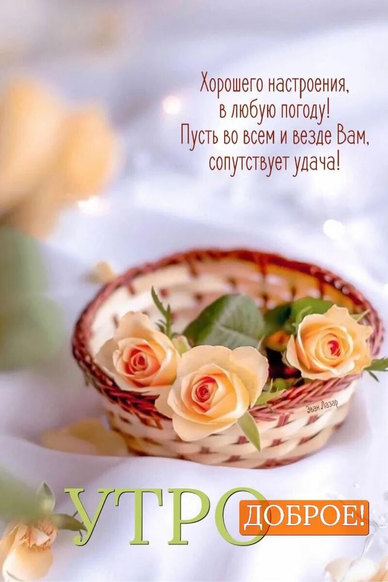 Хорошего дня 18 сентября. Доброе утро капуста. пожелания. доброе утро 2022. открытки приветик на 18 сентября.
