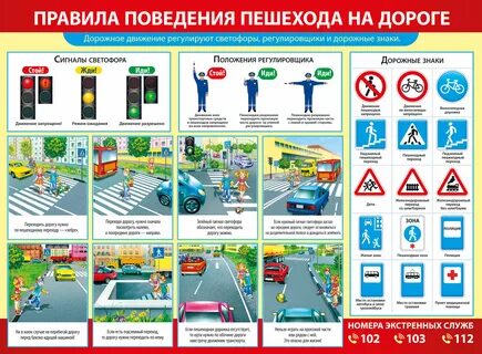 Пдд обж 9 класс