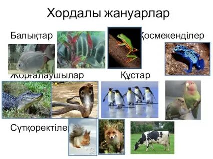 Порно құлпынай үлкен сиськи бар формада