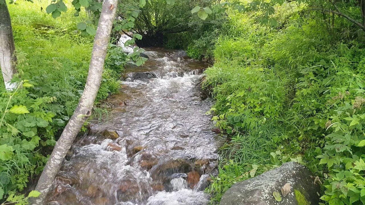 Шум воды ручья. Шум воды и ручья. Звук ручья. Звук воды ручей. Тумнинский Родник.