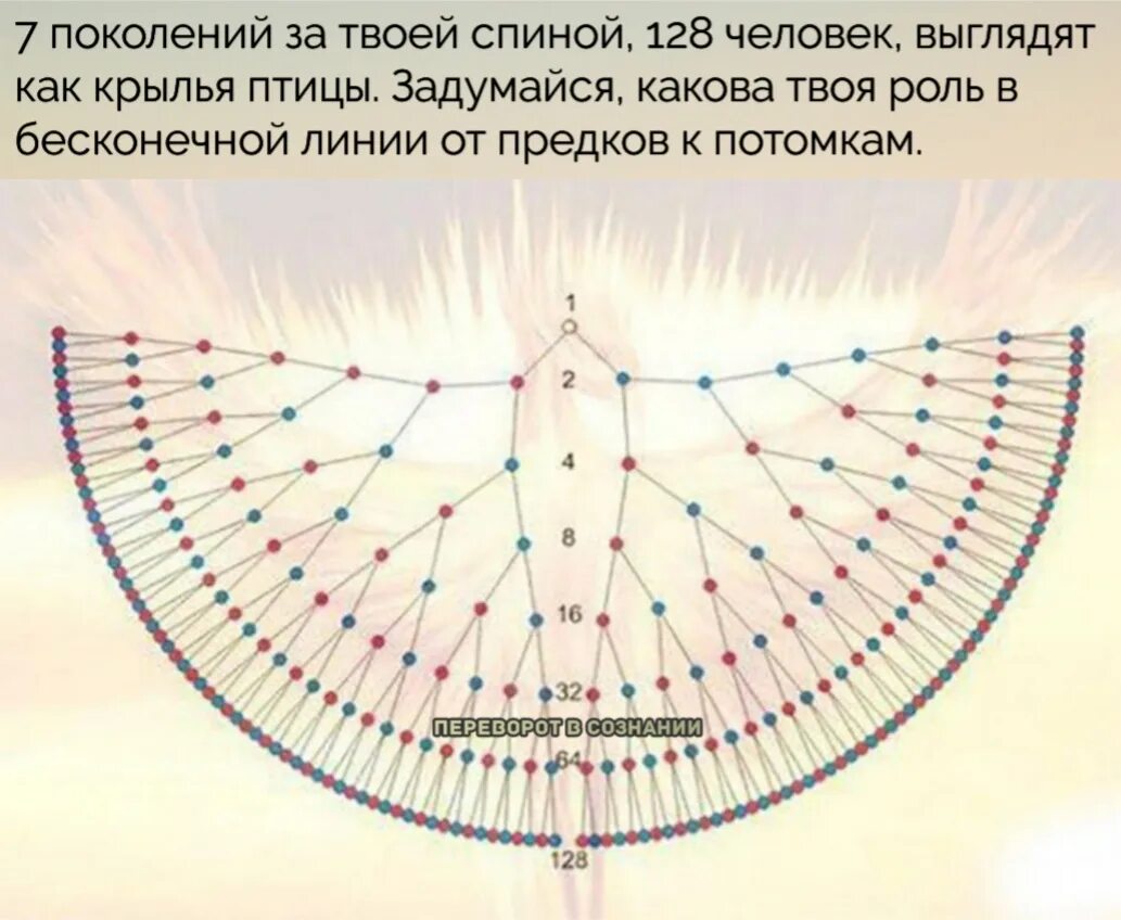 Система предков
