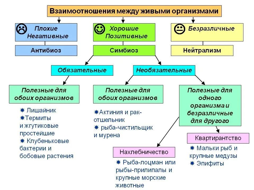 Формы взаимоотношений живых организмов