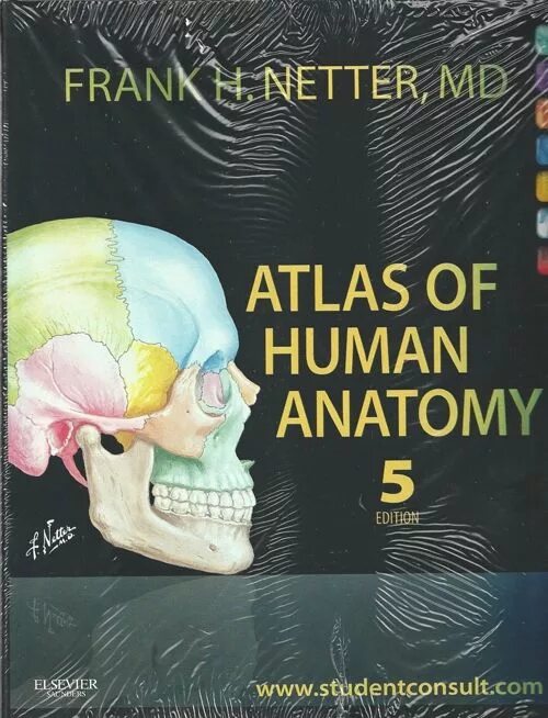 Frank Netter Atlas of Human Anatomy. Фрэнк Неттер атлас анатомии человека. Atlas of Human Anatomy by Frank h. Netter.