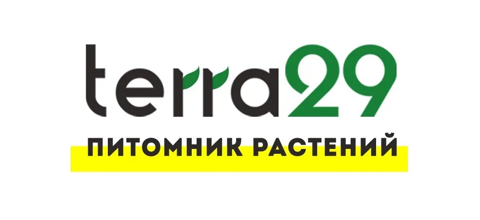 Здрав29 ру архангельская область. Северодвинск питомник Терра 29. Terra 29. Терра саженцы Северодвинск 29.