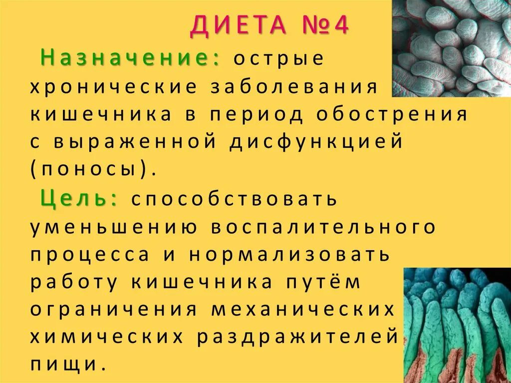 Диета номер 4. Диета 4 цель. Диета 4 цель назначения. Диета 4 презентация.