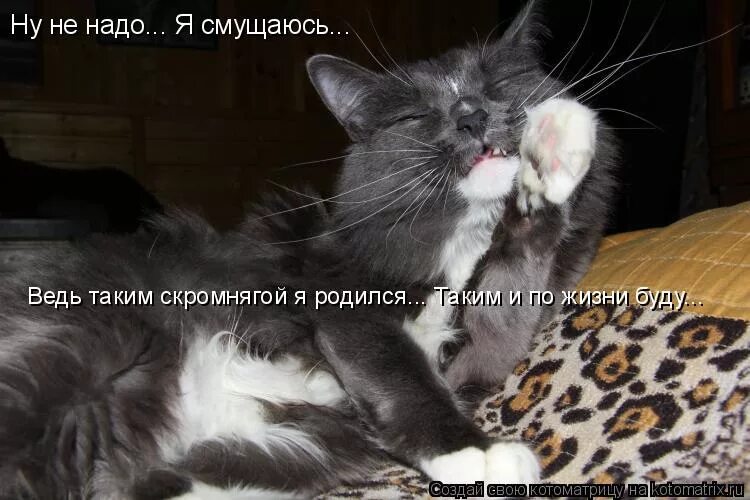 смущаюсь от комплиментов. вы меня смущаете. радостный женский смайлик. смущаюсь от комплиментов. открытки я смущаюсь.