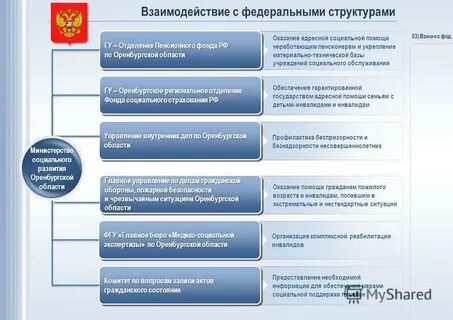 Документы оренбургская область