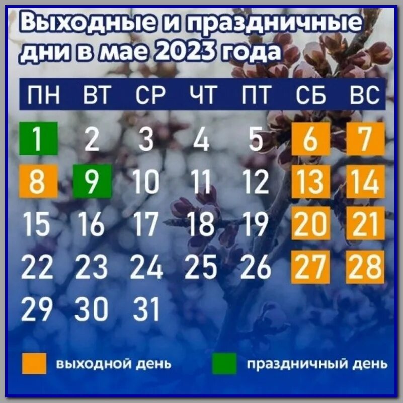 Как отдыхаем в этом году 1 мая. Выходные дни мая. Праздничные дни в мае. Майские выходные. Праздники в 2023 году.