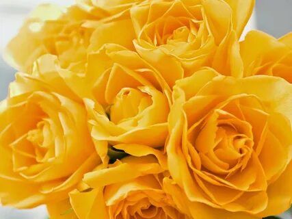 Yellow желтый