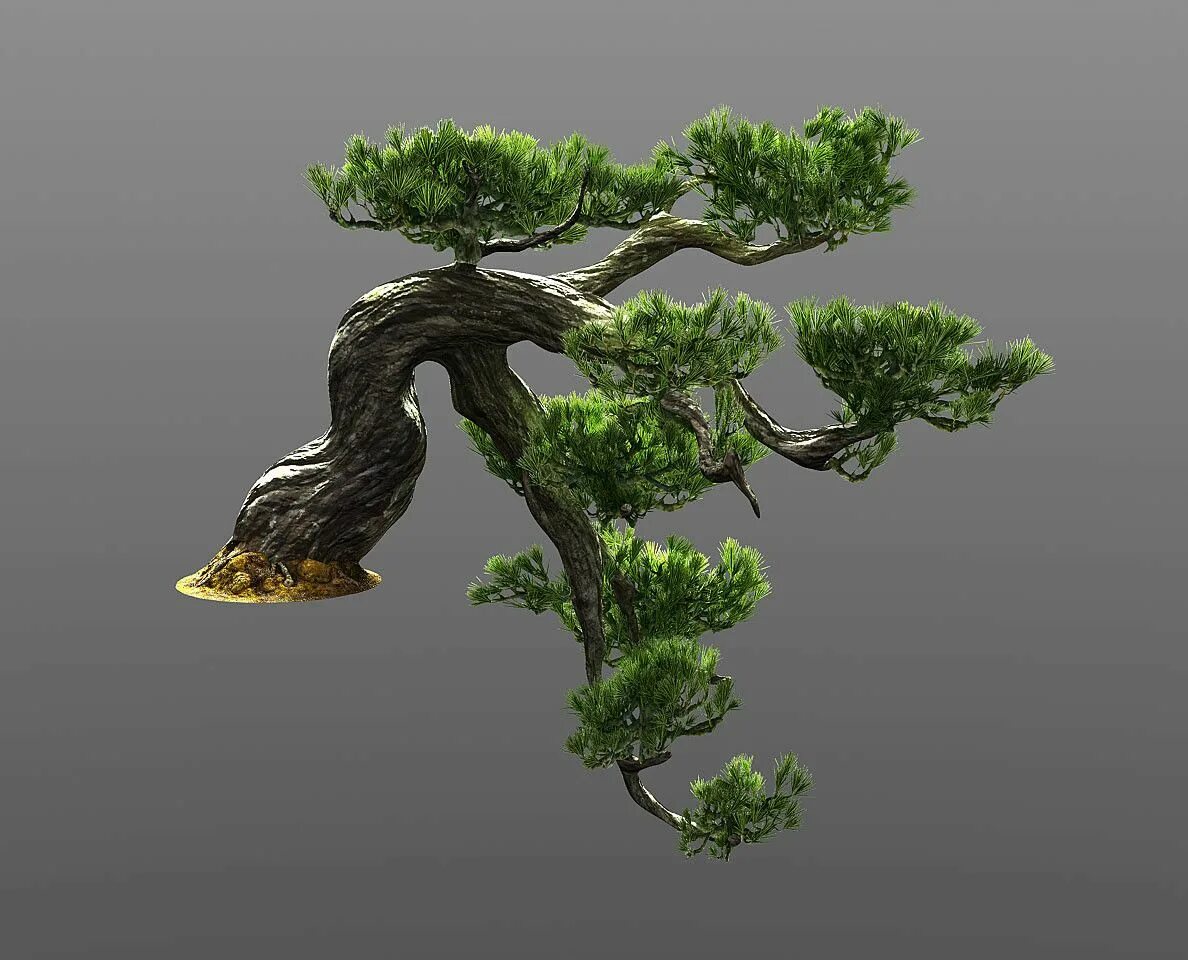 Create tree. Креативное дерево. Bonsai Trees 3. Бонсай дерево 8 к зеленый задний фон. Black_Tree_Gaming.