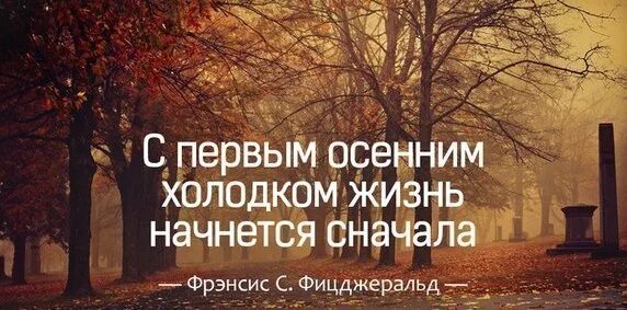 Начать сначала вк. С первым осенним холодком жизнь начнется сначала. Холодок. Начать сначала цитаты. Начать сначала картинки.