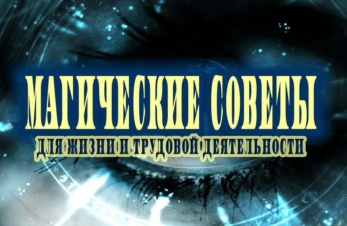 Магия данных