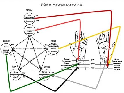 Пульсовая диагностика
