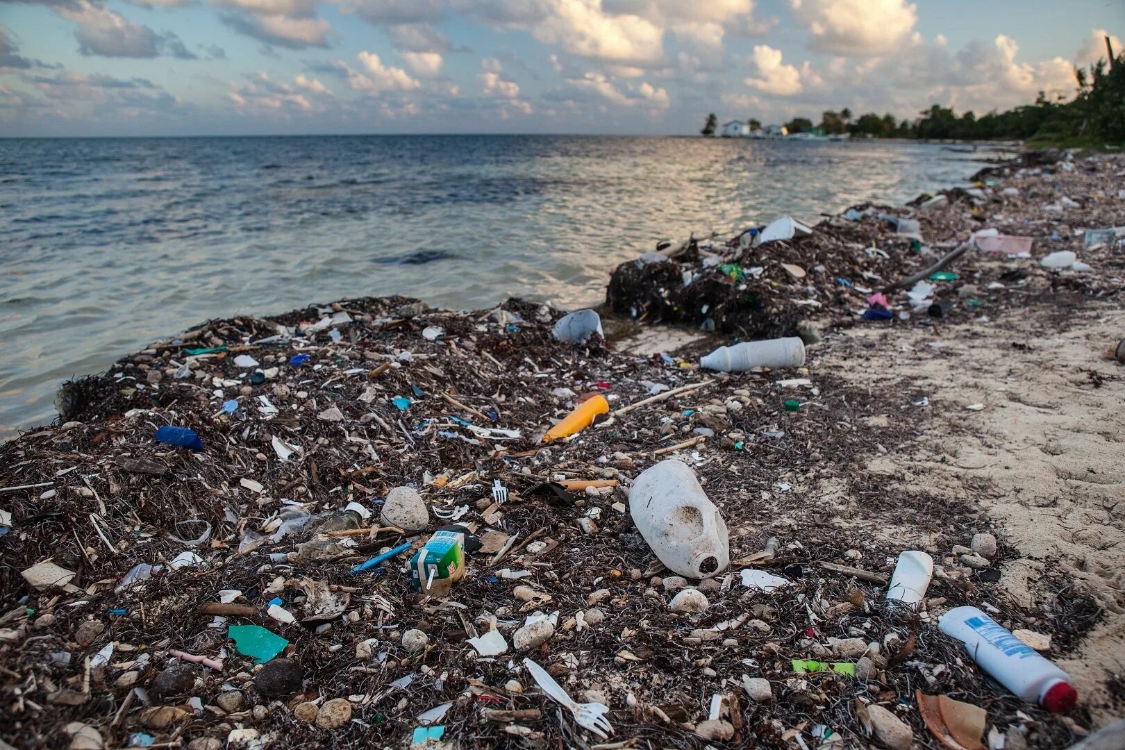 Great Pacific Garbage Patch. Загрязнение мирового океана. Бытовые отходы в океане. К чему приводит загрязнение окружающей среды