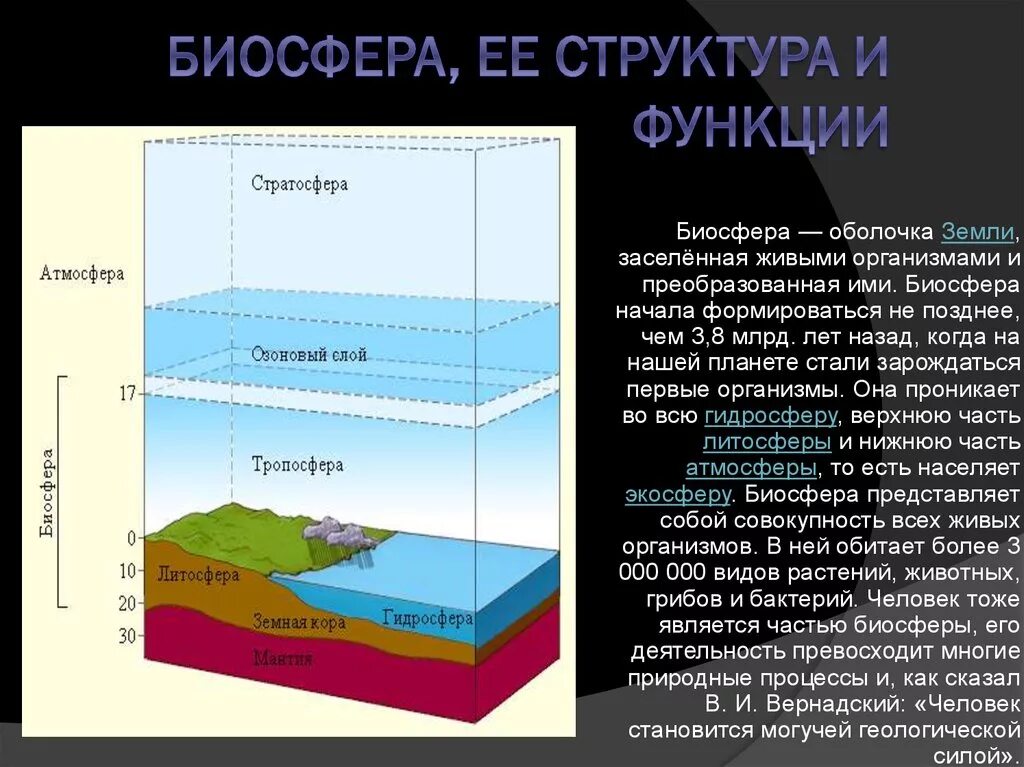 Биосфера это оболочка земли населенная живыми организмами