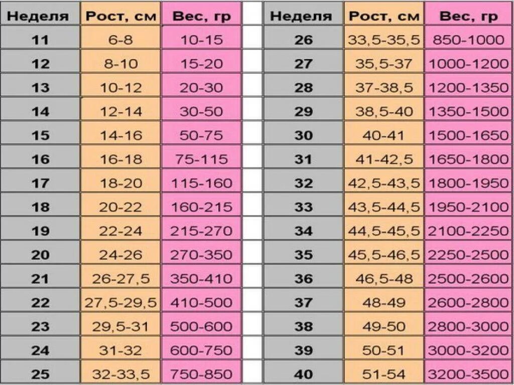 В 7 30 неделю