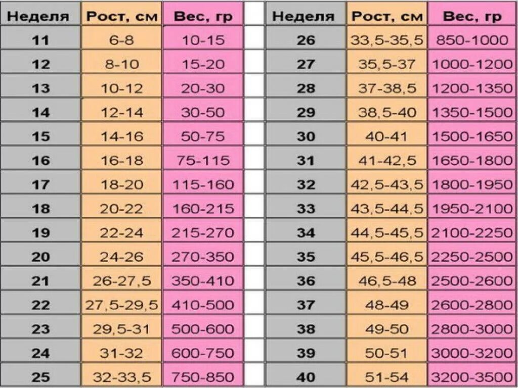 Беременность 32 недели родился. Вес плода на 34 неделе беременности. Вес плода в 36 недель беременности норма таблица. Вес плода на 32 -34 неделе беременности. Вес плода в 22 недели беременности норма таблица.