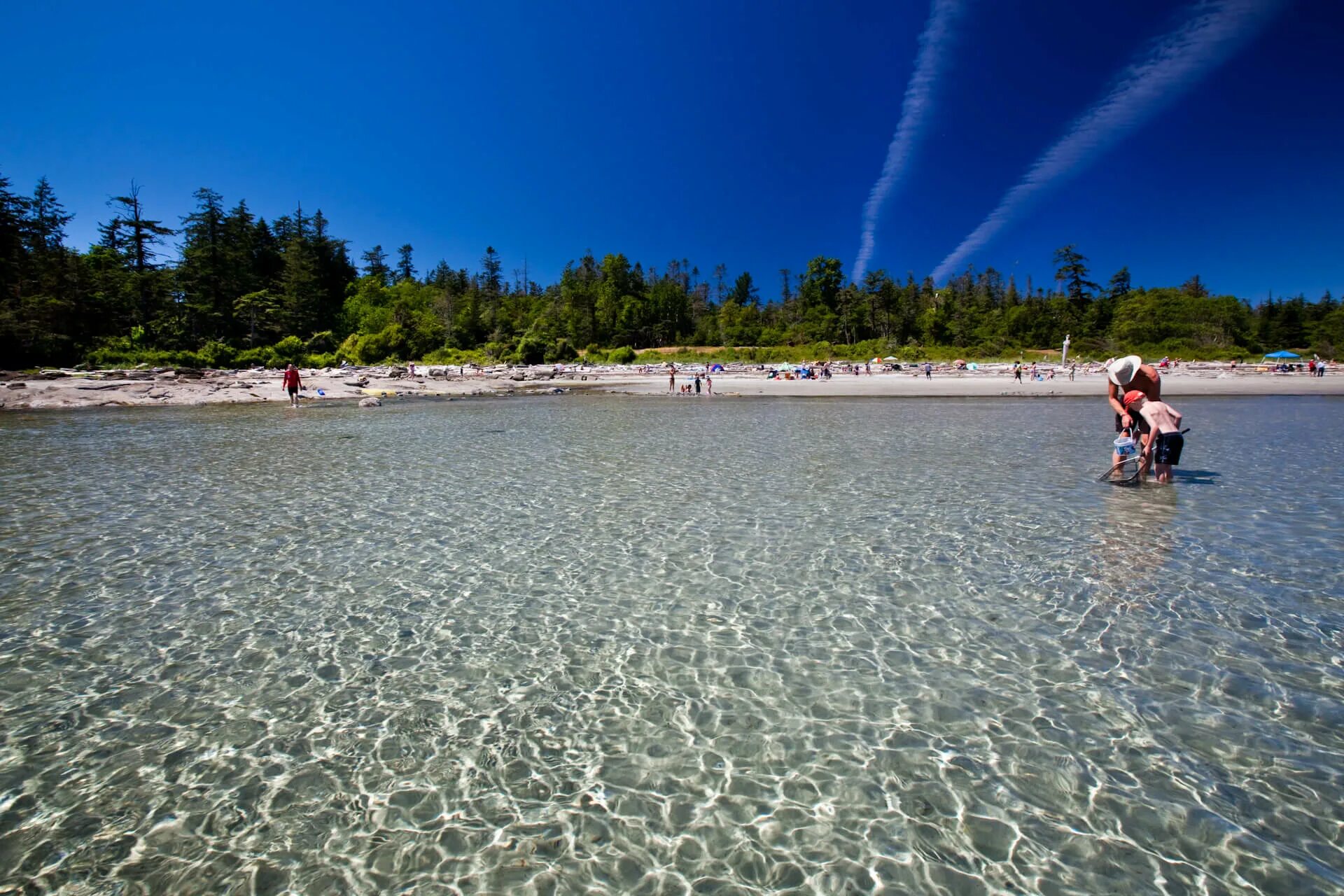 Canada Beaches. Остров Ванкувер пляж. Пляж Васага. Канадские пляжи. Blizkey пляж