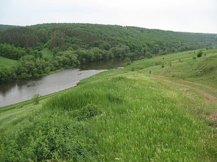 Село Благодать Ефремовский район Тульской области. Стрелечья Поляна Ефремовский район. Деревня Стрелечья Поляна Ефремовский район. Деревня Благодать Тульская область Ефремовский район.