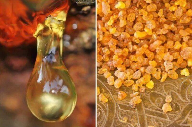 Эфирное масло ладана (10мл. Doterra эфирное масло ладан. Ладан масло. Масла и смолы. Ладан эфирное масло.