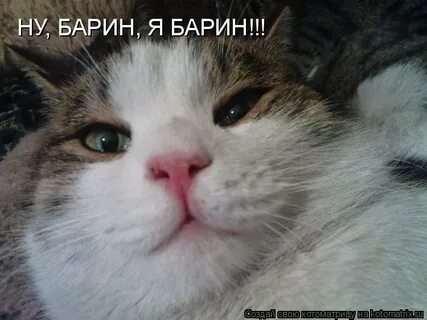 Ну барин