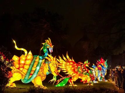 Asian dragon fest
