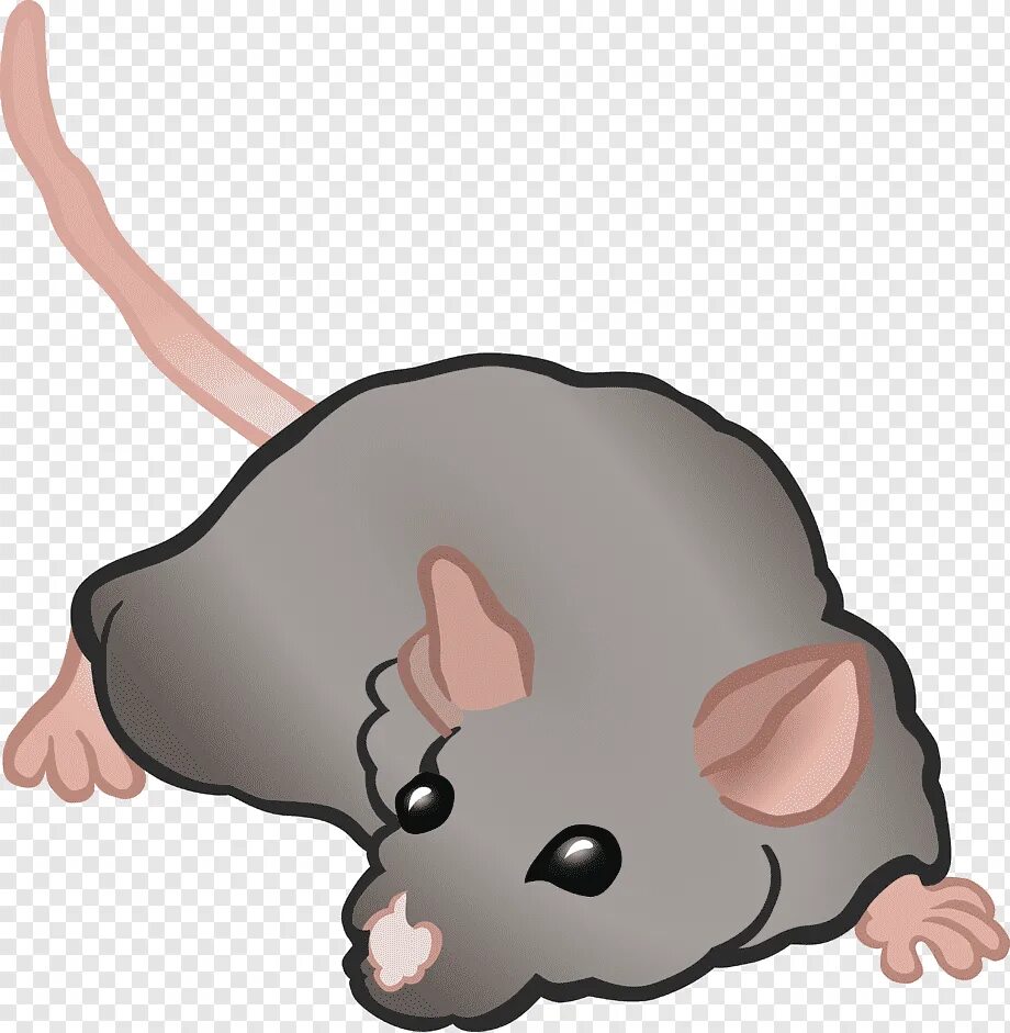 Мышка 2д. Мышь вектор. Мышки мультяшки. Мышки животные.